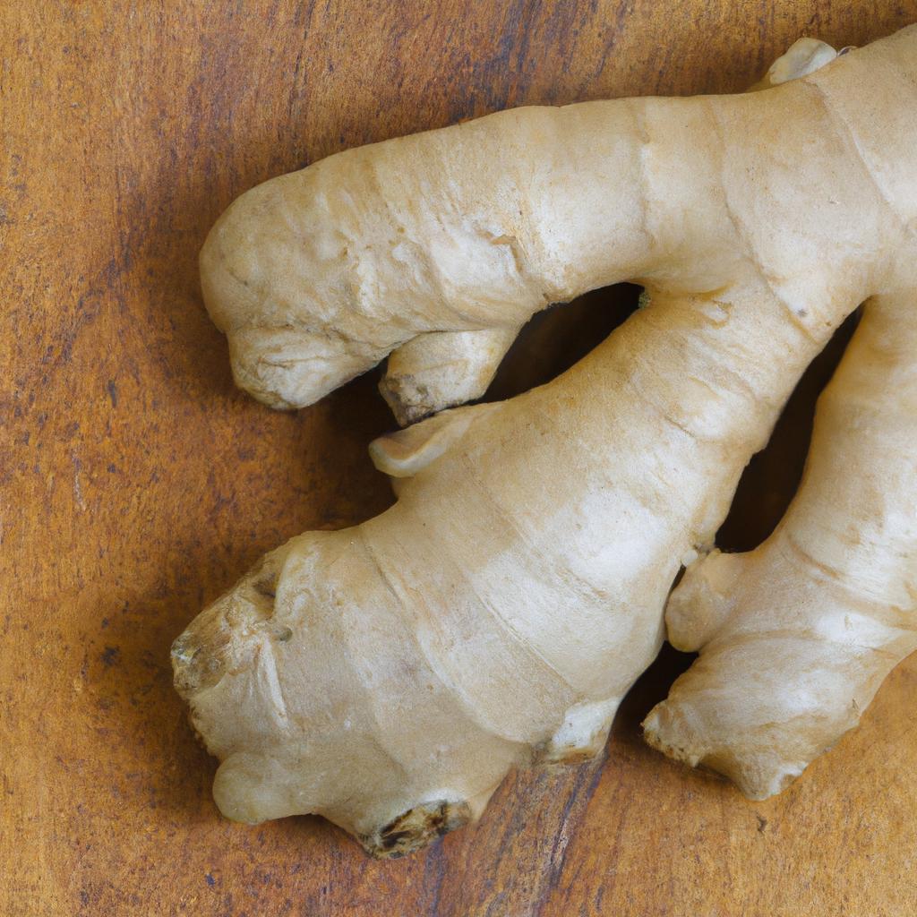 Ginger root is the source of potent ginger oil