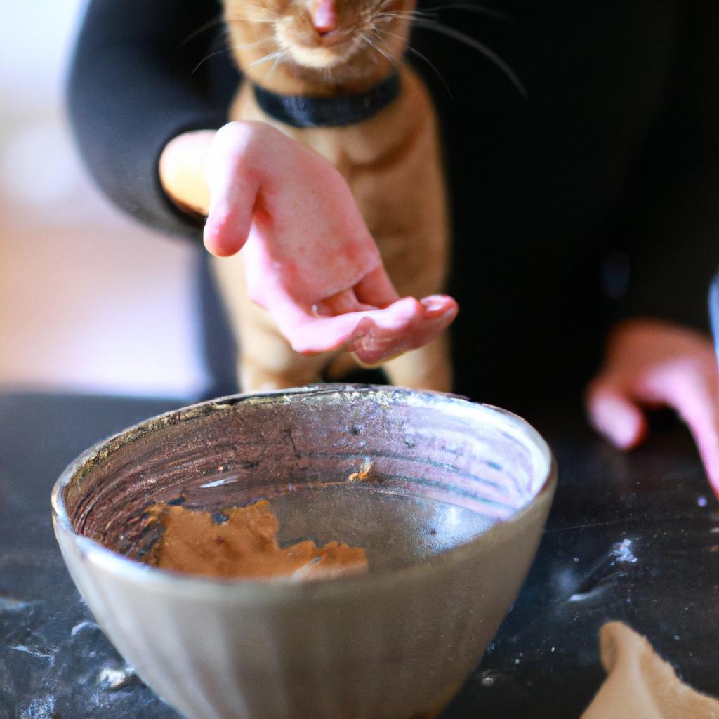 Homemade ginger treats can be a tasty and healthy snack for your favorite feline.