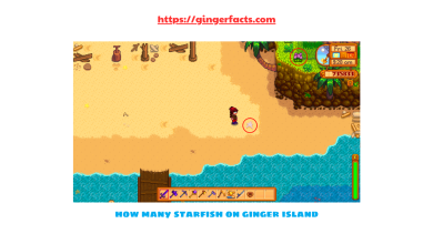 How Many Starfish on Ginger Island? Exploring 7 Marine Life Facts