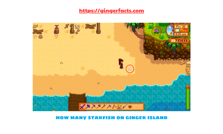 How Many Starfish on Ginger Island? Exploring 7 Marine Life Facts